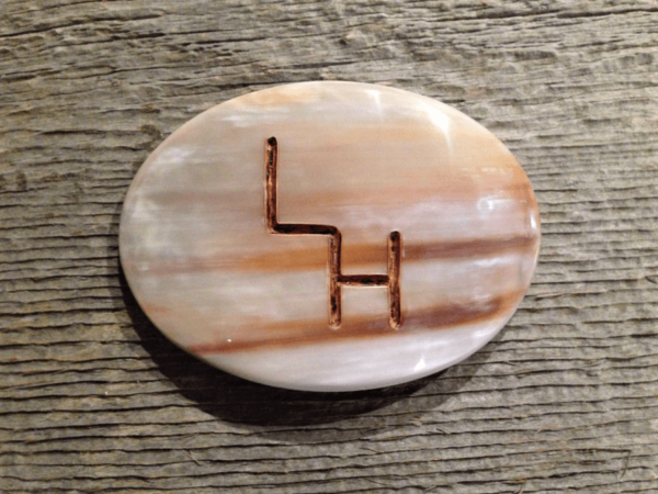 a streaked cow horn barrette with inlay