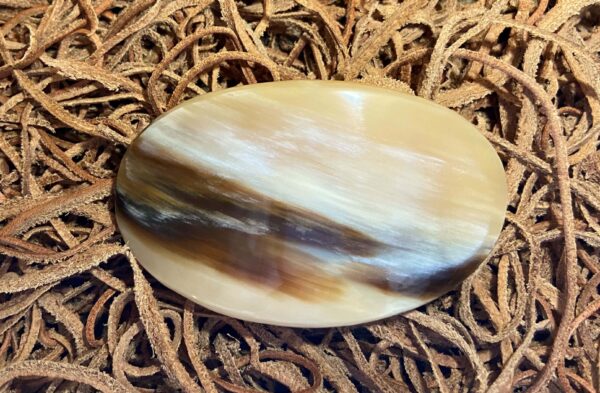 a cow horn barrette unadorned.