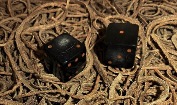 a pair of dark colored cow horn dice