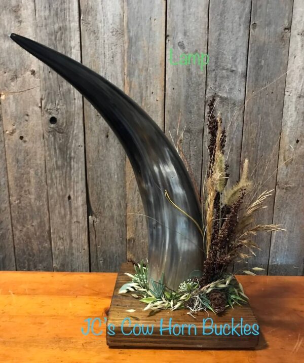 Handcrafted Cow Horn Lamp on a wood base.